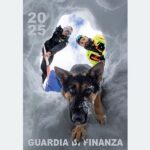 Guardia di Finanza